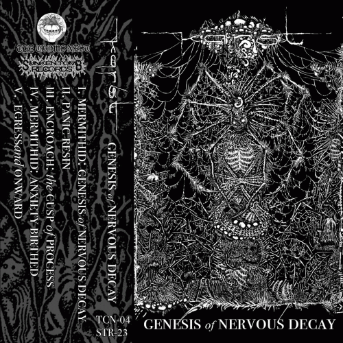 Karst (USA) : Genesis of Nervous Decay